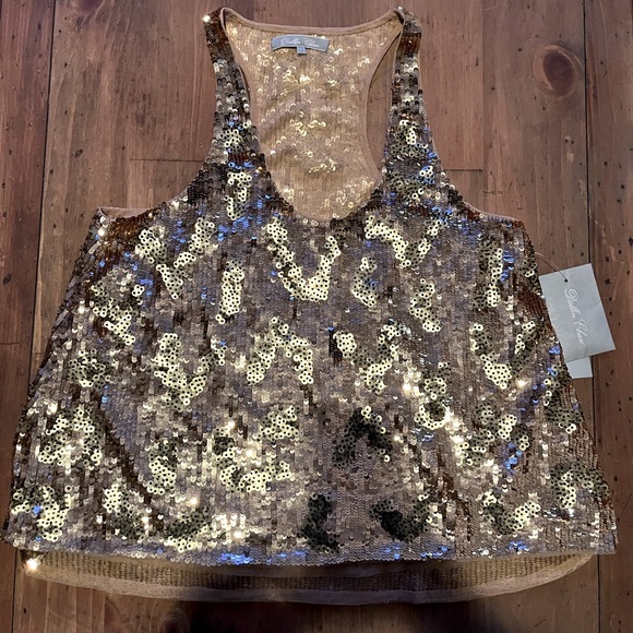 Urban Outfitters Dallin Chase Champagne Sequin Racerback Tank - Picture 4 of 9